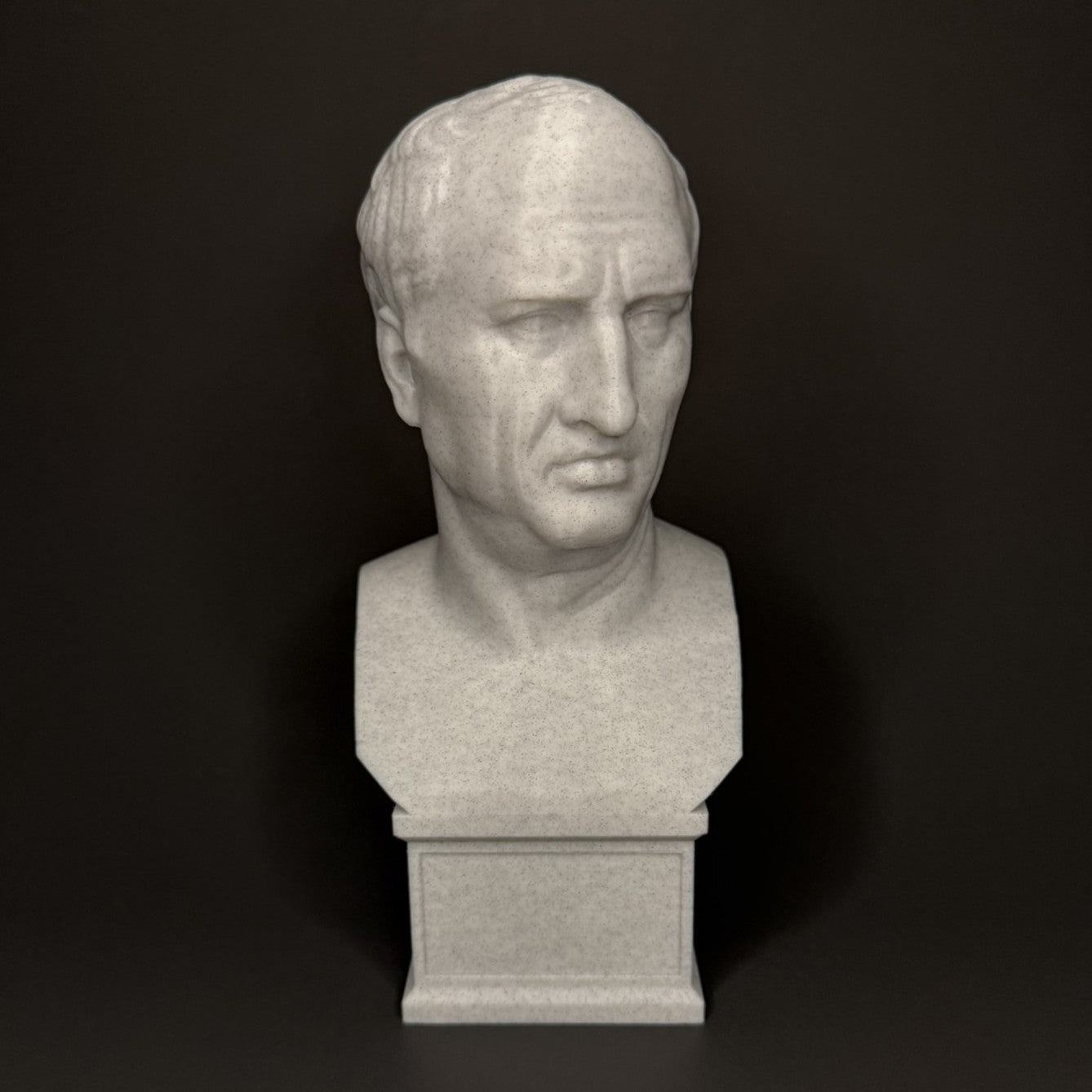 Cicero Bust - Angled View