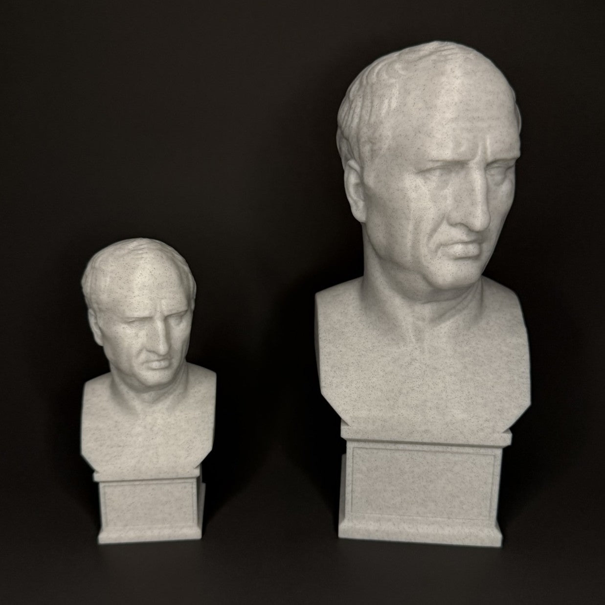 Cicero Bust - Comparison View