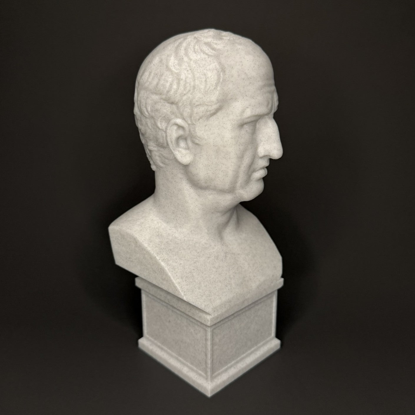 Cicero Bust - Side View