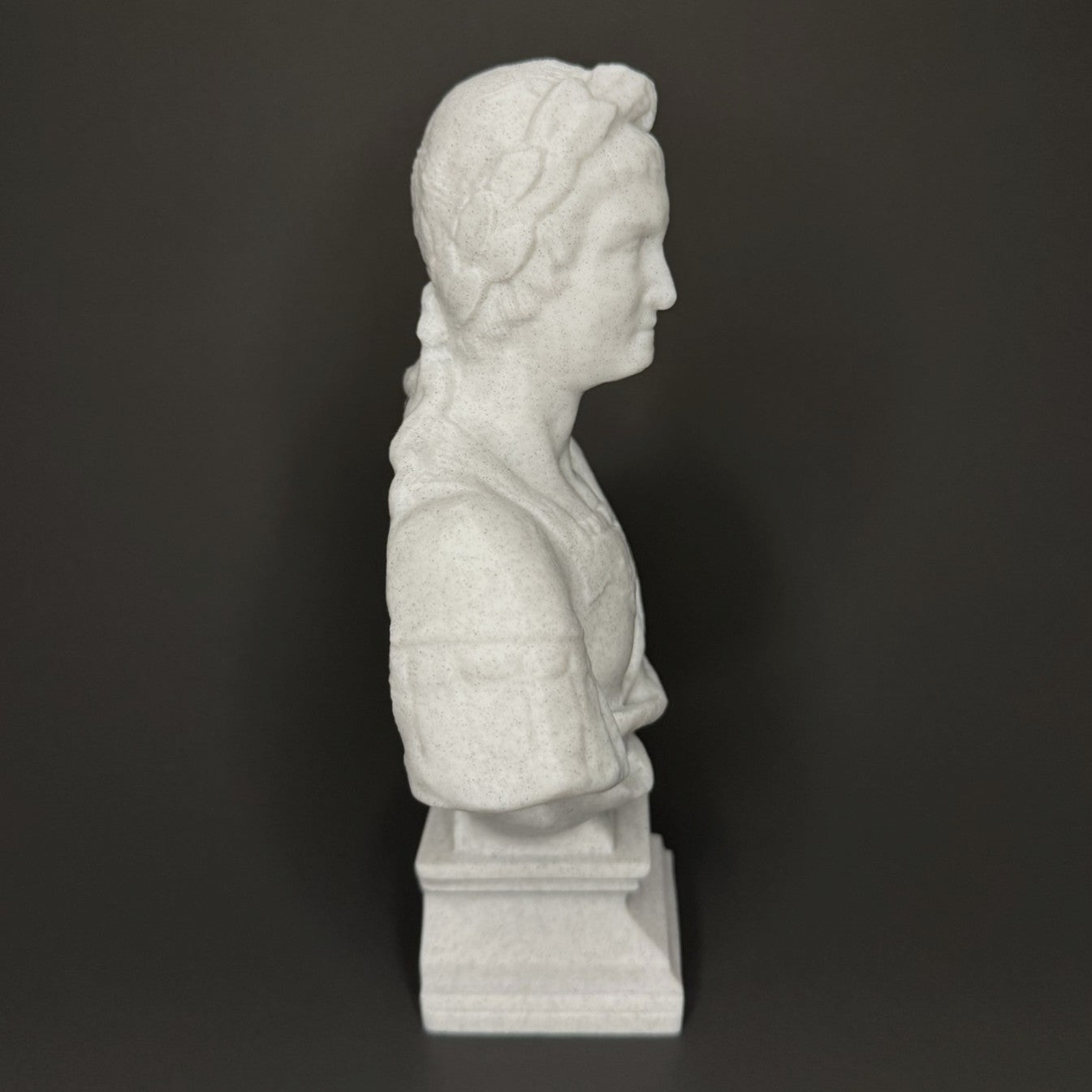 Nero Bust - Side View