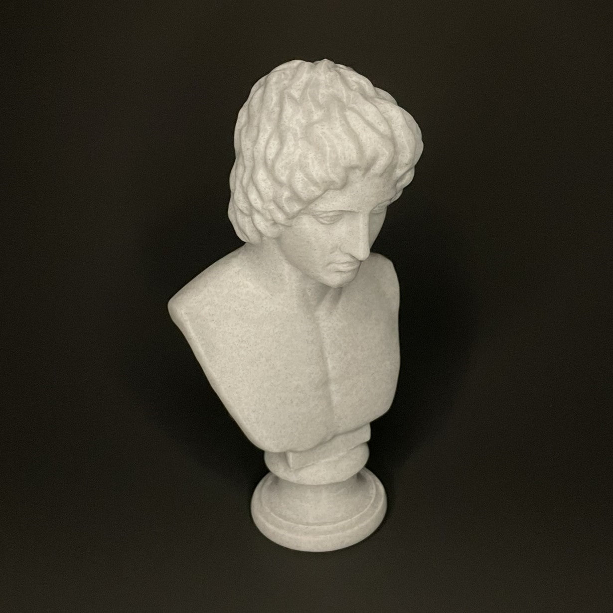 Alexander The Great Bust Angled View