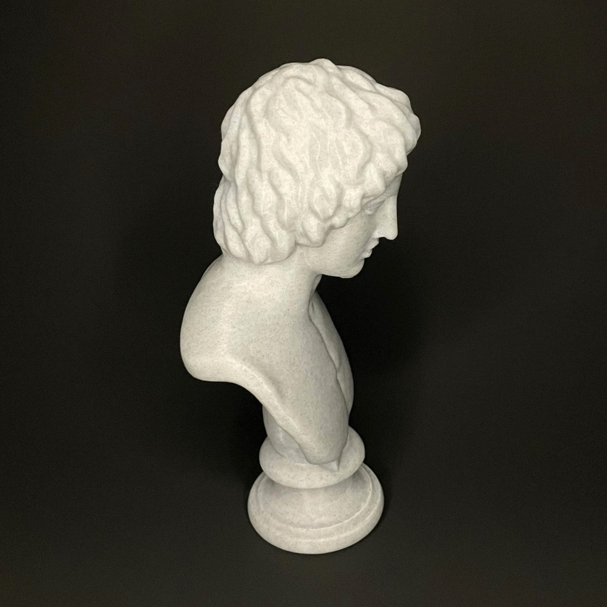 Alexander The Great Bust Side View