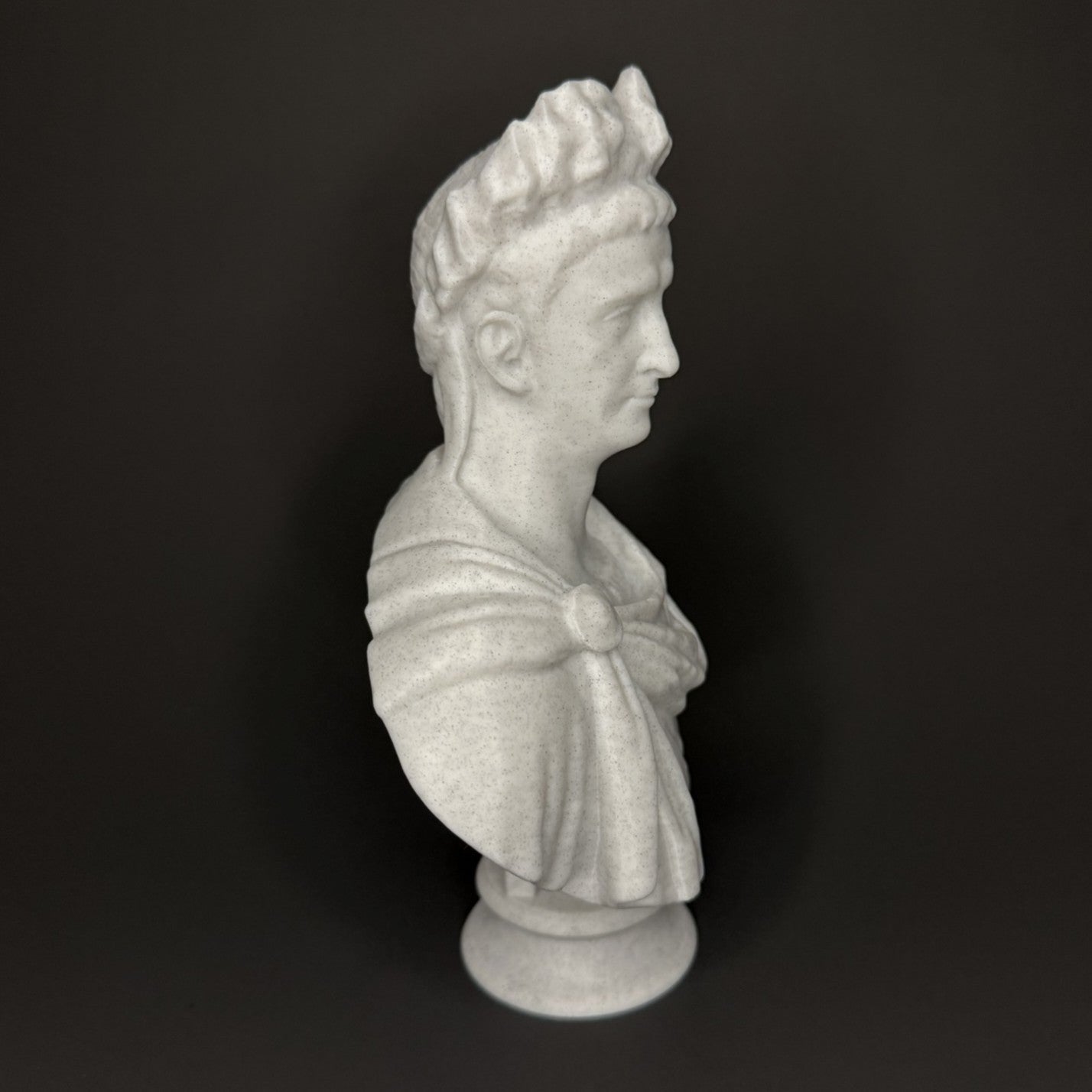 Claudius Bust - Side View