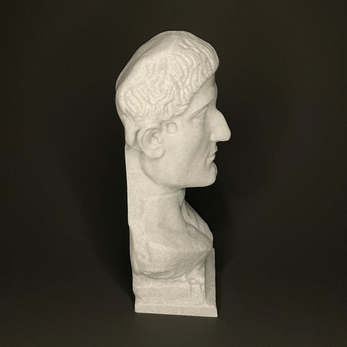 Constantine The Great Bust Side View