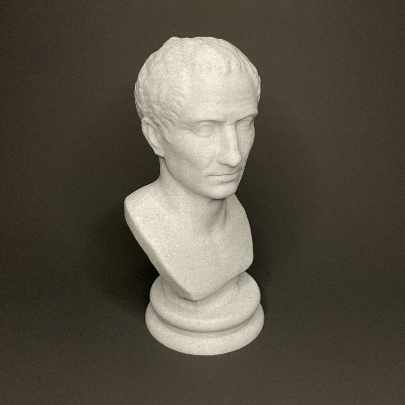 Julius Caesar Sculpture - Angled View