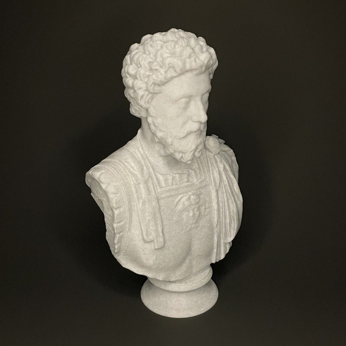 Marcus Aurelius Bust Angled View