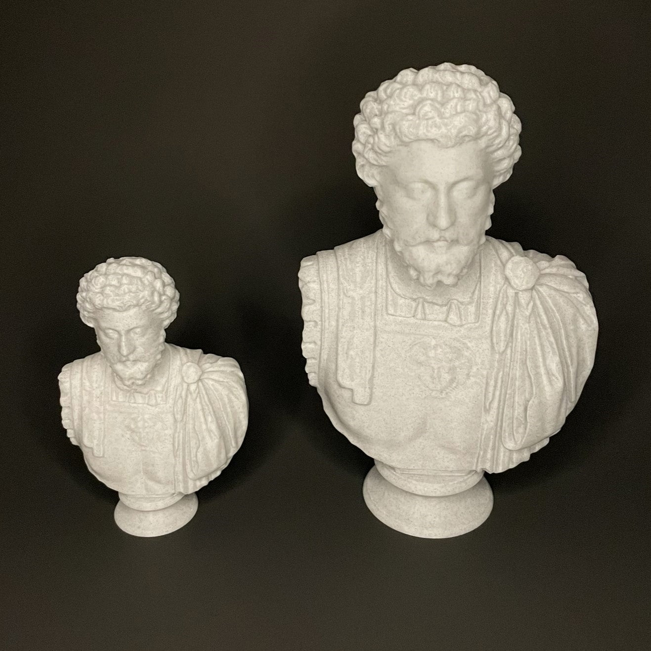 Marcus Aurelius Bust Comparison View