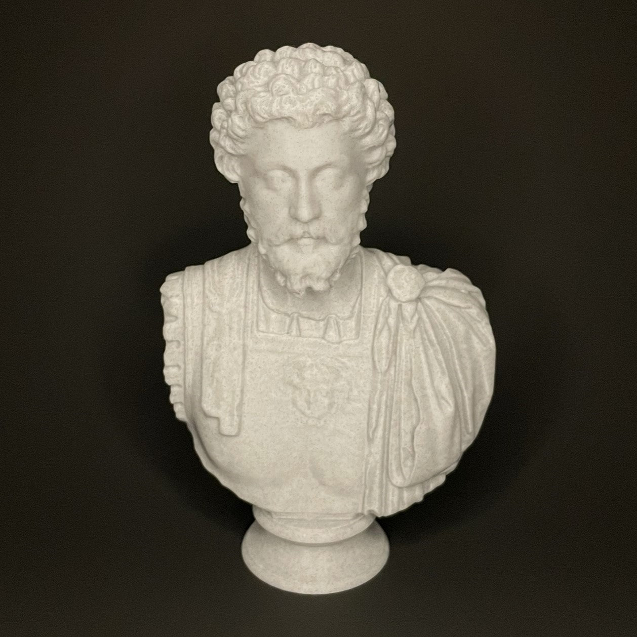 Marcus Aurelius Bust Front View