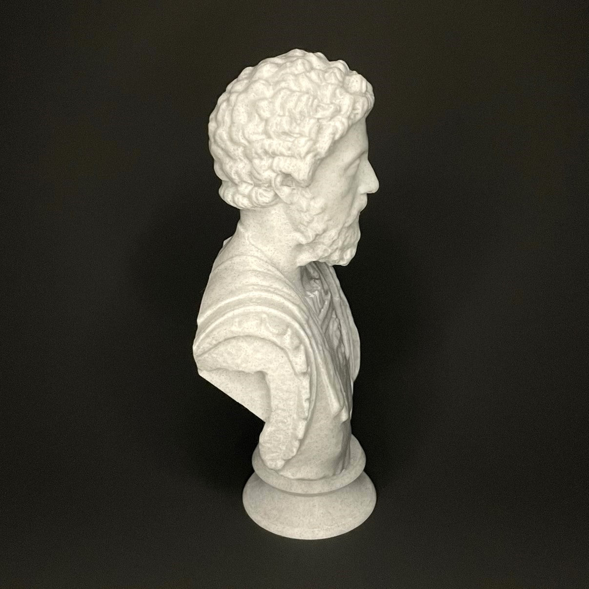 Marcus Aurelius Bust Side View