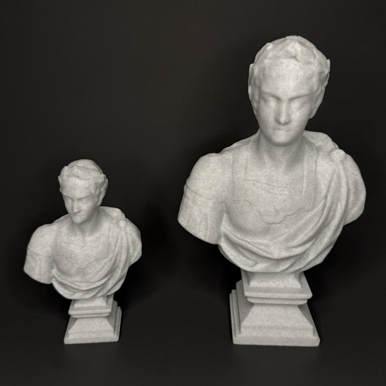 Nero Bust - Comparison View