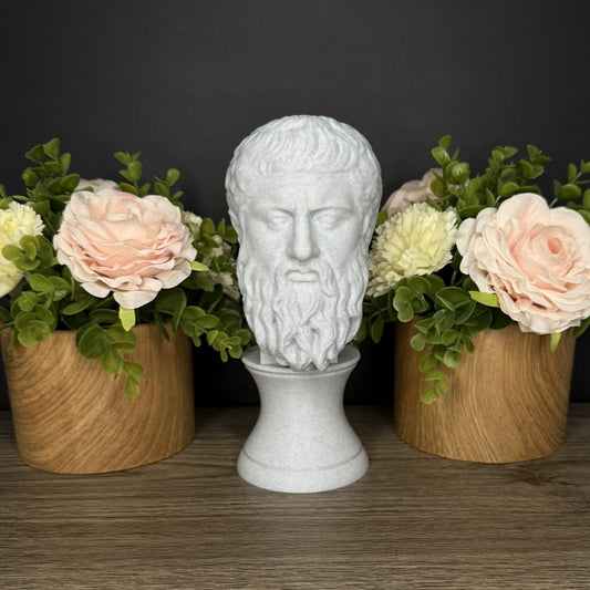Plato Sculpture Flower View