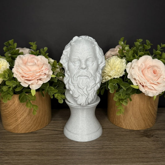 Socrates Sculpture Flower View