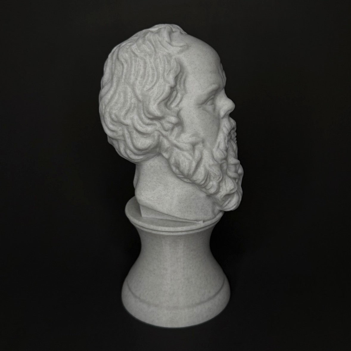 Socrates Sculpture Side View